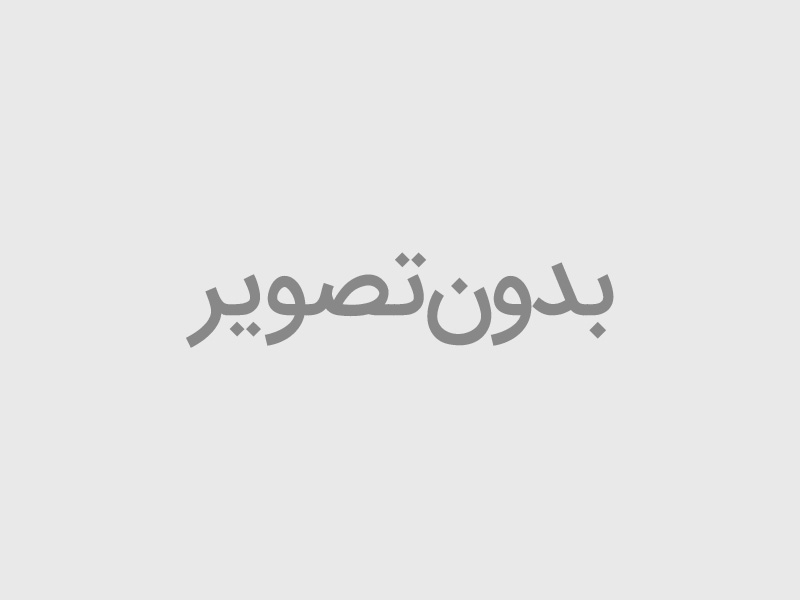 لانه گربه و سگ
